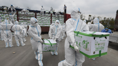5 unprecedented events that threw Chinese political circles into chaos