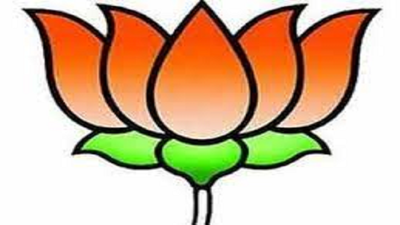 Seeing rival camps’ preparations, BJP seeks 5 names from each ward in Allahabad