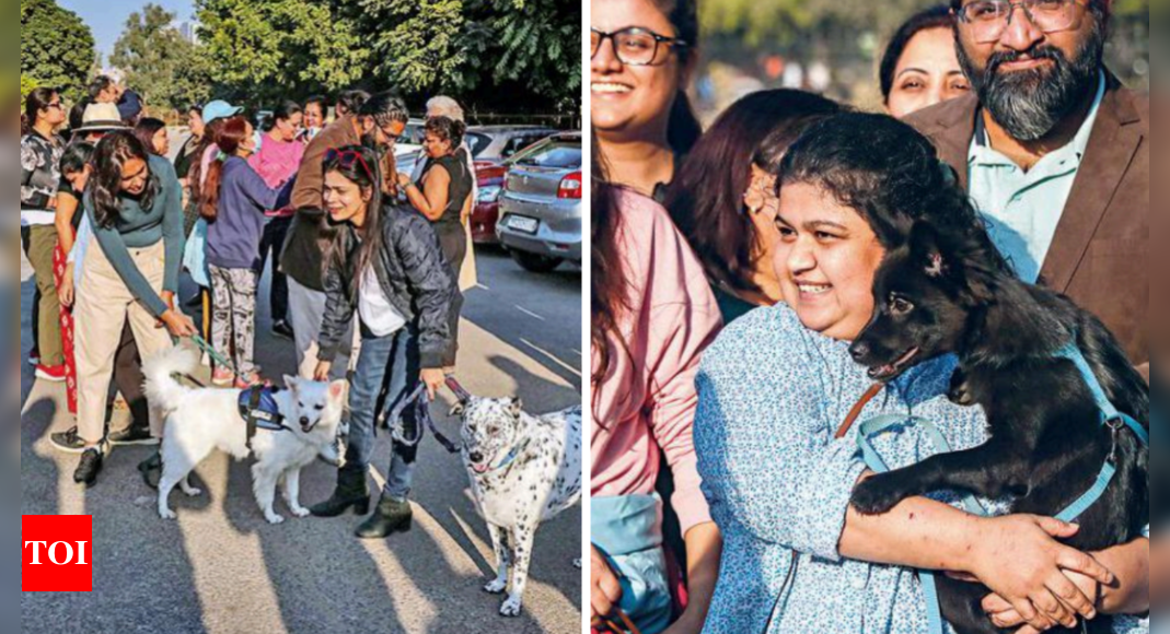 कुत्तों पर नोटिस अवैध, इसे चुनौती देंगे: विरोध पर पालतू पशु मालिक |  गुड़गांव समाचार – टाइम्स ऑफ इंडिया