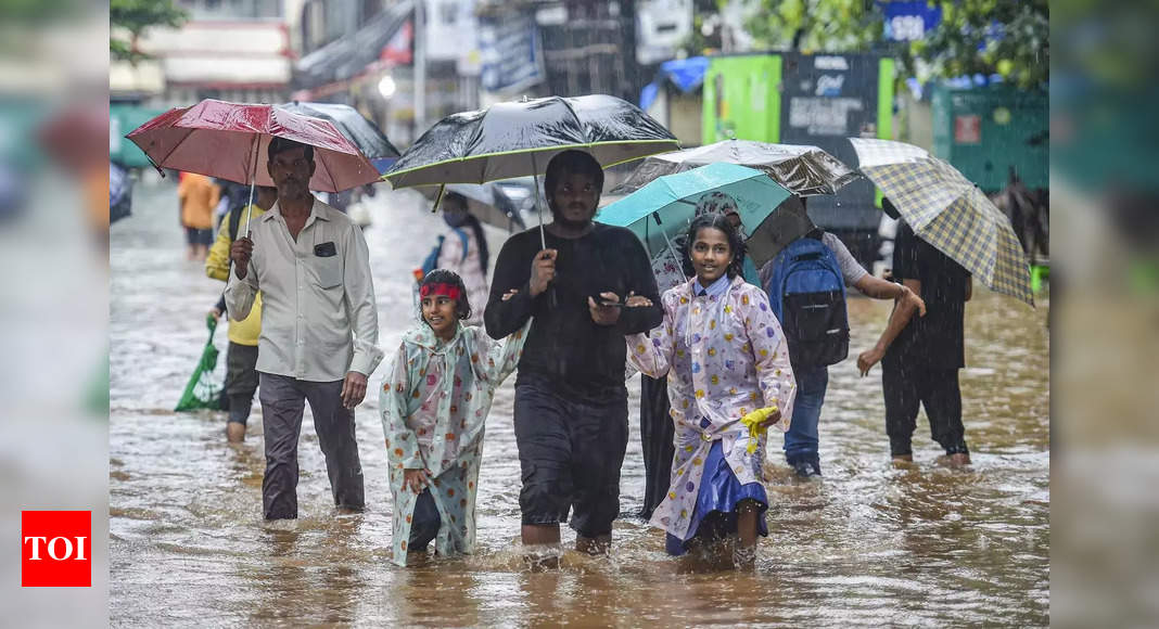 TN schools closed in some districts as rains likely over state – Times of India