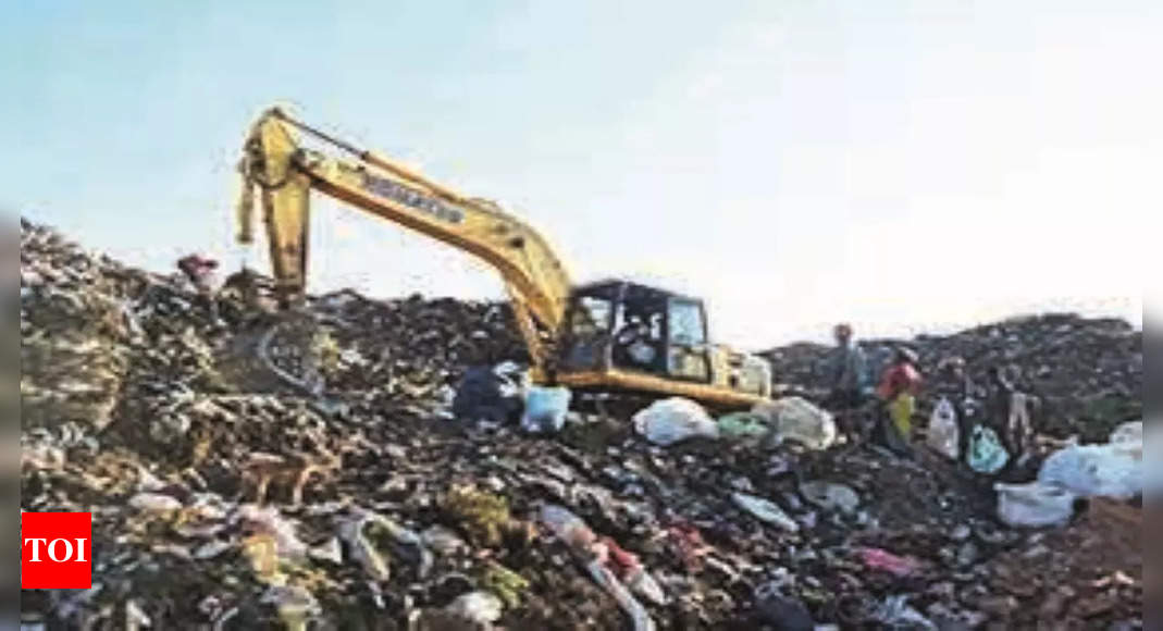 मई से दारुथेंगा तक कचरा पहुंचाना बंद कर देंगे: बीएमसी |  भुवनेश्वर समाचार – टाइम्स ऑफ इंडिया