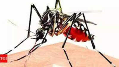 Nearly 3, 800 dengue cases in Delhi