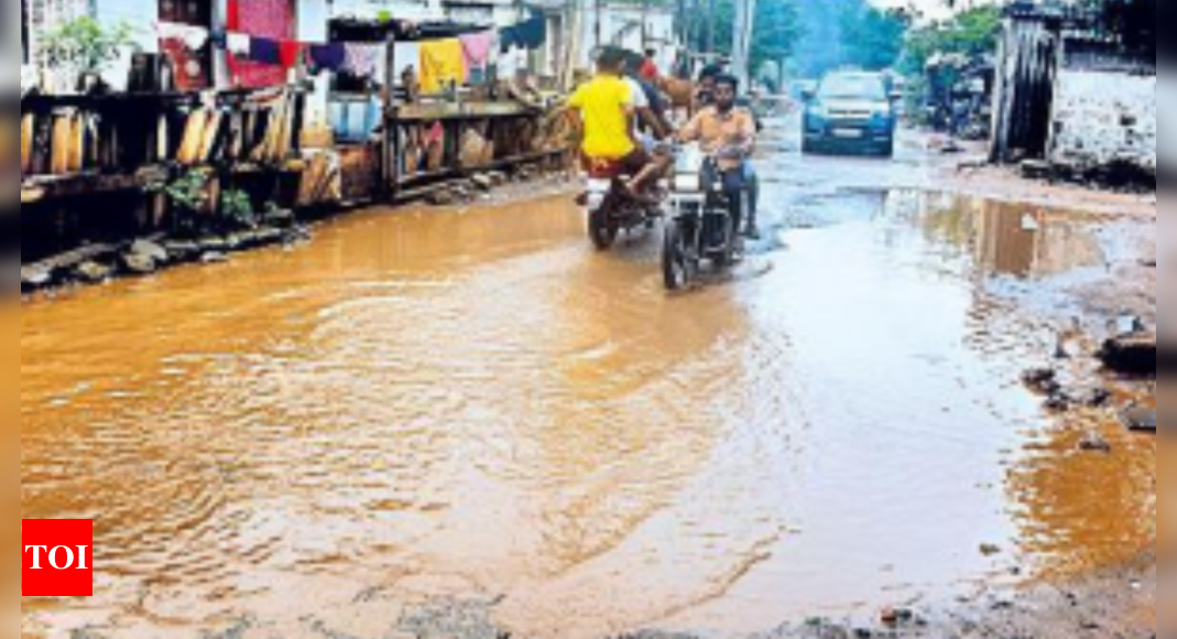 cyclone-mandous-rains-destroy-paddy-in-andhra-pradesh-s-krishna