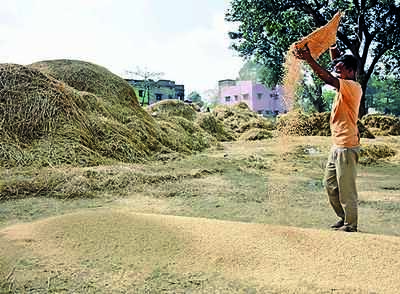 State govt to begin paddy procurement from Dec 15