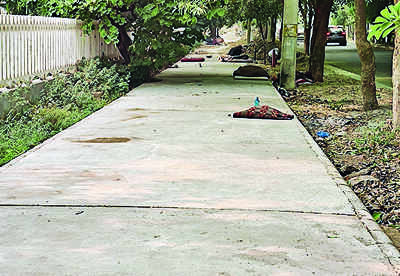 This cycle track seems more of sleeping place