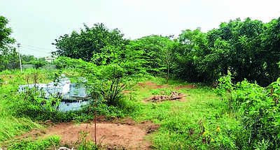 Land allotted for common burial ground