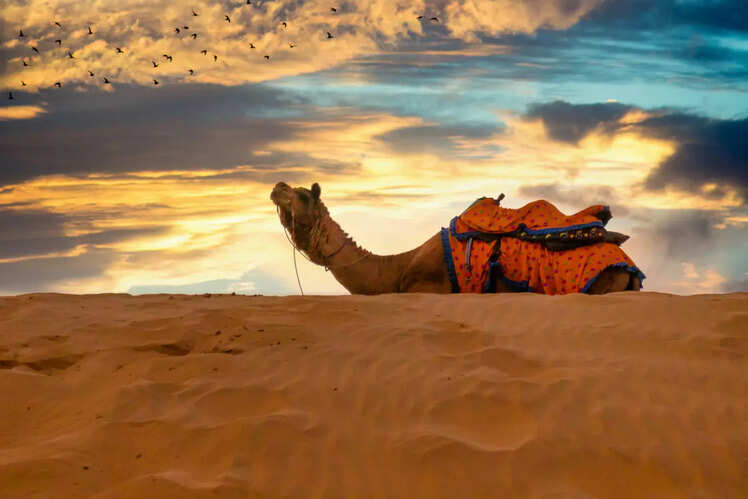 Bikaner