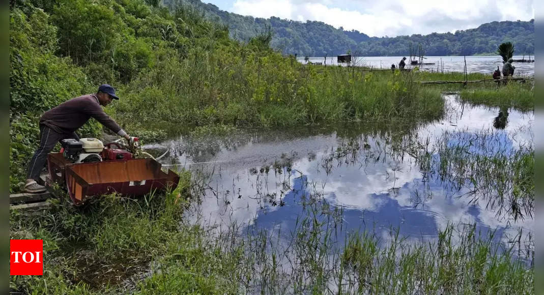La crise de l’eau à Bali menace la culture locale, sites de l’UNESCO