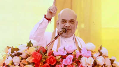 Won’t cede an inch to Beijing, vows Shah, tears into Congress for ‘China love’