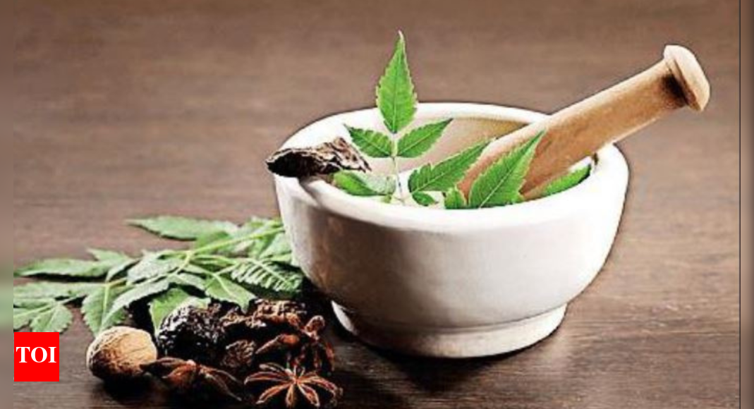 जामनगर से आयुर्वेद ऑस्ट्रेलिया विश्वविद्यालय पहुंचेगा |  राजकोट समाचार – टाइम्स ऑफ इंडिया