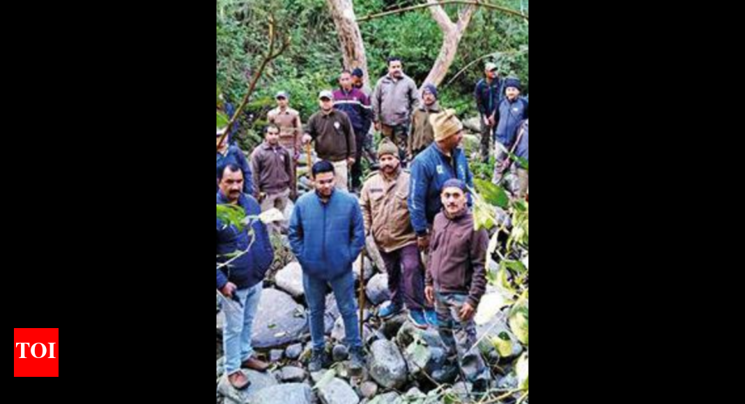 कॉर्बेट टाइगर रिजर्व में मानसिक रूप से बीमार व्यक्ति को बाघ ने मार डाला |  देहरादून समाचार – टाइम्स ऑफ इंडिया