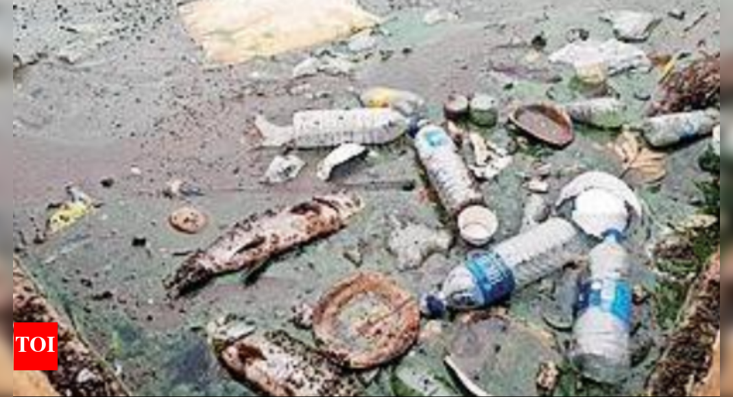 Madurai Polluted water from Panaiyur channel kills fish in Madurai's