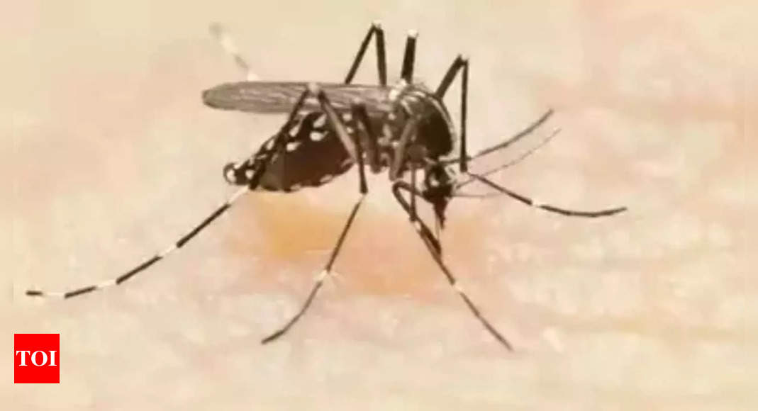 Zika Virus Is Further Spread Of Zika Virus In India A Big Threat India News Times Of India 