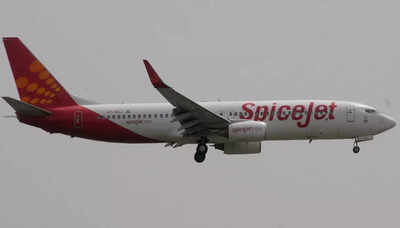 Flight of fancy: SpiceJet cooks up audit story