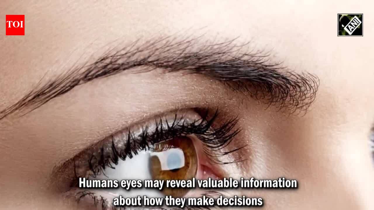 Research finds eye movements hold clues to how humans make decisions
