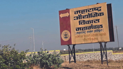 Dindori’s industrial zone attracts Rs 4,800 crore investments in a year