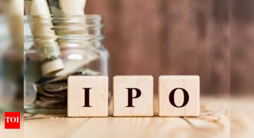 In India, IPO proceeds are down 56 percent in 2022 despite its biggest
