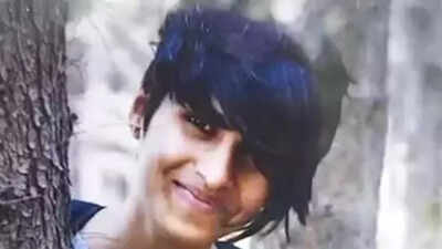 Delhi LG V K Saxena approves police proposal to appoint 2 special public prosecutors in Shraddha Walkar murder case