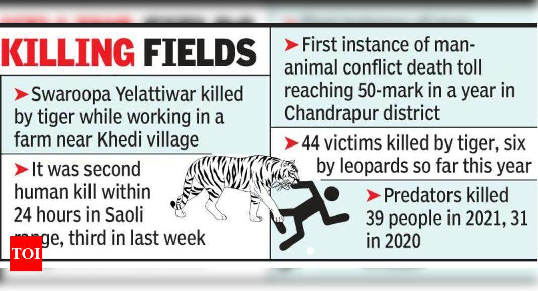 Man-animal conflict toll reaches 50 | Nagpur News - Times of India