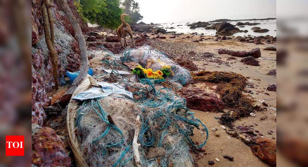 In future, beaches to be cleaned from 6am to 9pm: Khaunte | Goa News ...