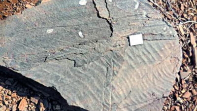 Earths: Ngri Scientists Discover Clues Of Earth’s Evolution In J’khand ...
