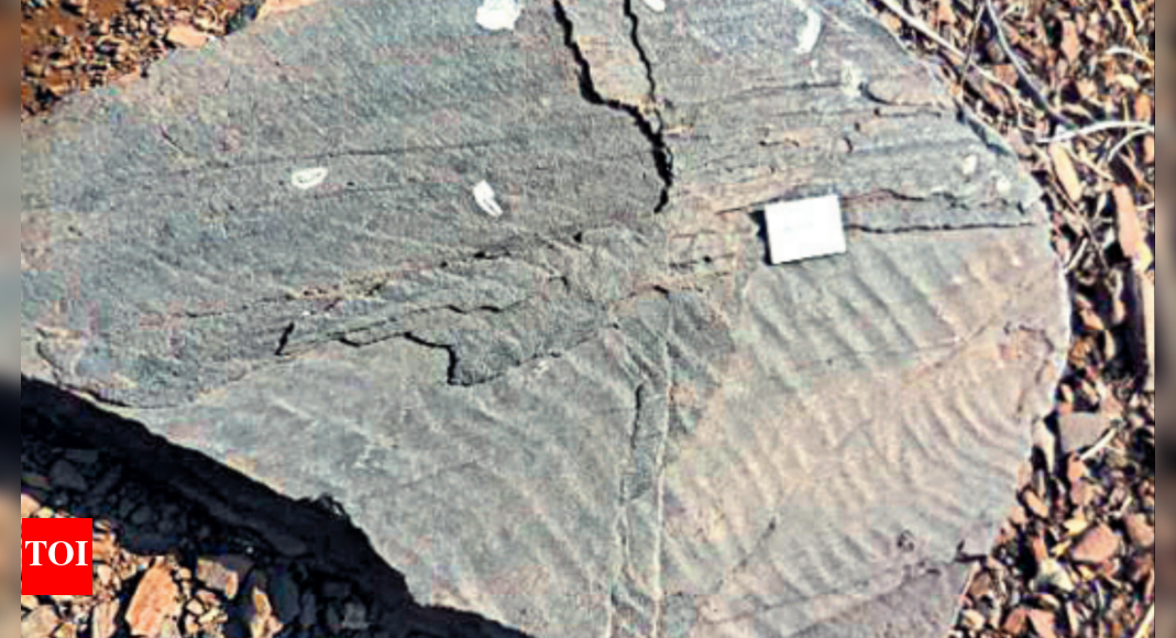 Earths: Ngri Scientists Discover Clues Of Earth’s Evolution In J’khand ...
