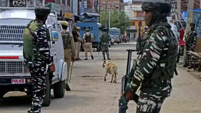 Firing outside Army camp in Jammu and Kashmir's Rajouri, two civilians killed