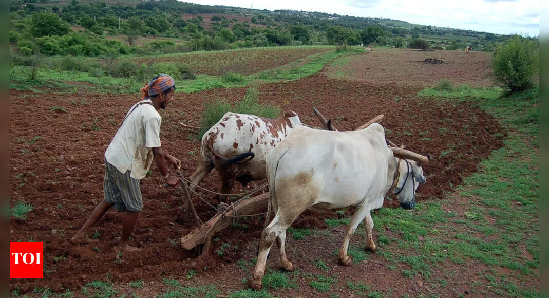 Centre disbursed Rs 2.24 lakh crore to 11.5 crore farmers under its ...