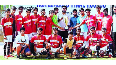 Team title for Krishna DC