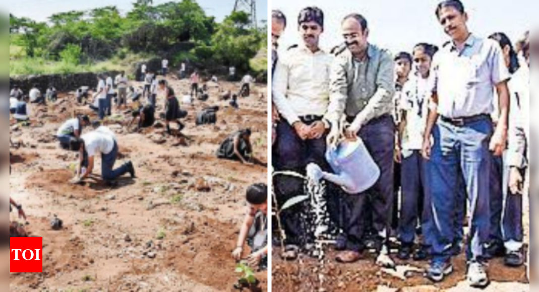 अर्बन फॉरेस्ट कुरिंजी वनम ने पिल्लयारपुरम में जड़ें जमाईं |  कोयंबटूर समाचार – टाइम्स ऑफ इंडिया