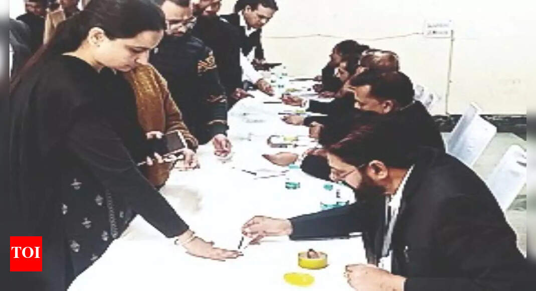 Rohit Sharma Panchkula & Mohali Bar Assns Get New Officebearers