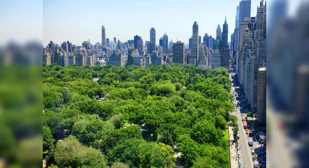 Anda sekarang dapat berinteraksi dengan lebih dari satu juta pohon di New York!