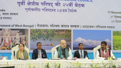 States to share responsibility for security in border areas: Home minister Amit Shah