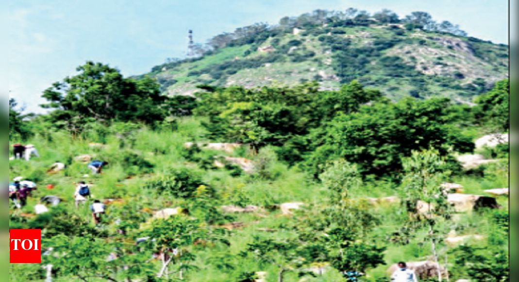 Nandi Hills: Nandi Hills ropeway in 2 years; ride may cost 250-300 in ...