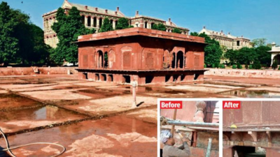 Delhi: ASI tries to bring back Zafar Mahal’s glory