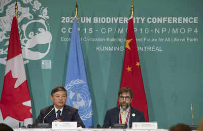 UN deal calls for $20 billion international biodiversity aid: draft