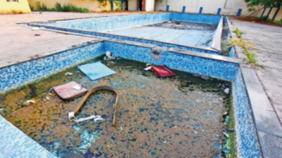 Bavdhan swimming pool turns into dengue hotspot, mirrors civic apathy in Pune