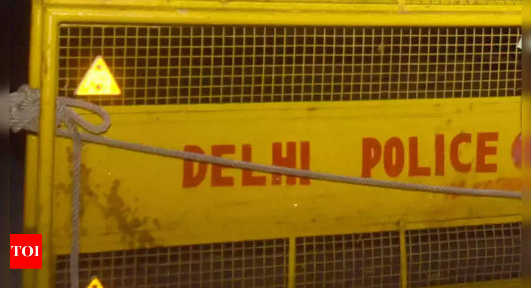 दिल्ली में चोरी की बोली में लड़की पर हमला करने वाला व्यक्ति गिरफ्तार |  दिल्ली समाचार – टाइम्स ऑफ इंडिया