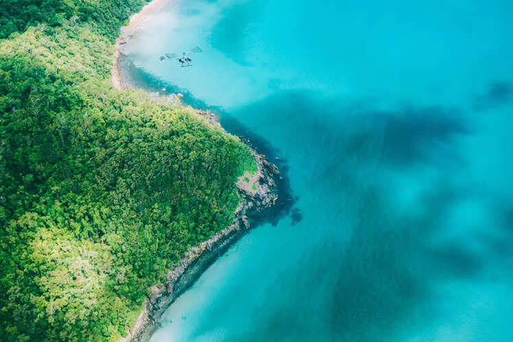 Daintree Rainforest, Australia