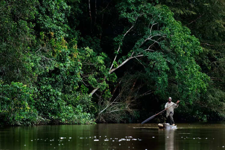 Congo Basin