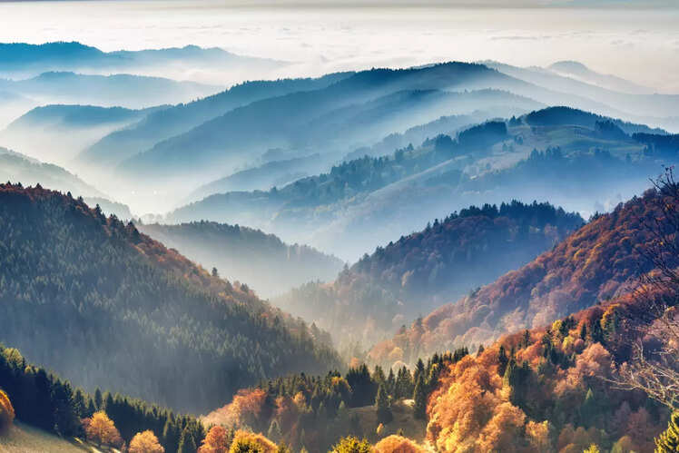 Black Forest, Germany