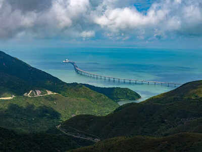 3-year study to understand impact of undersea tunnel for bullet train on migratory birds