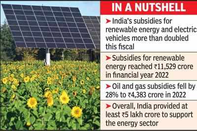 Subsidies For Renewable Energy And EVs More Than Double: Study | Nagpur ...