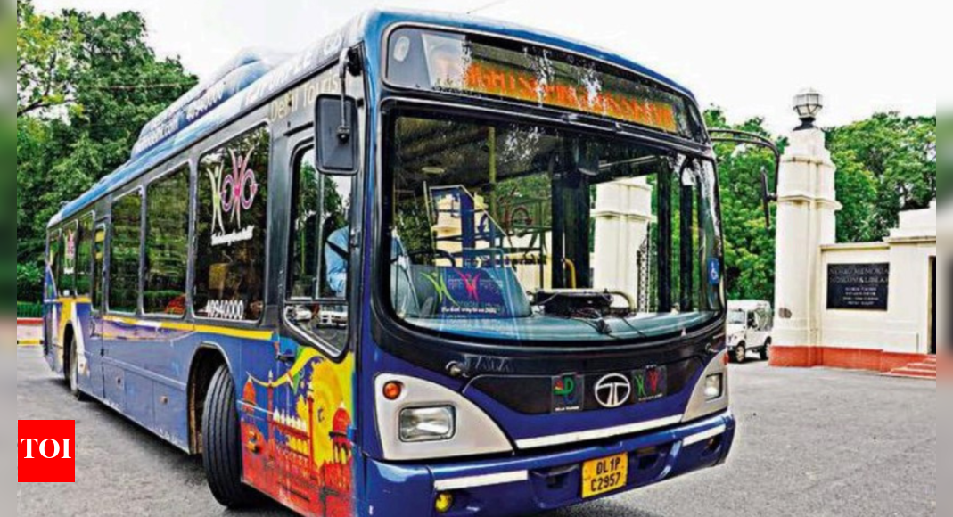 होहो सेवाएं दिल्ली में जी20 शिखर सम्मेलन के लिए समय पर वापस आ जाएंगी  दिल्ली समाचार – टाइम्स ऑफ इंडिया