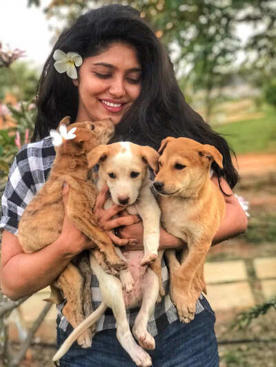 Samyukta's paw-titude to care for strays | Kannada Movie News - Times of India Samyukta's paw-titude to care for strays | Kannada Movie News - Times of India