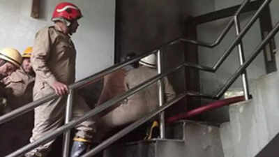 Fire breaks out in Delhi's South Extension restaurant, no one injured