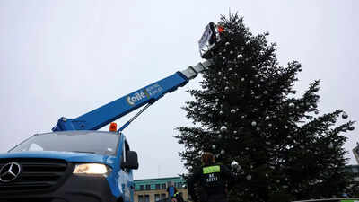 Climate activists decapitate prominent Berlin Christmas tree