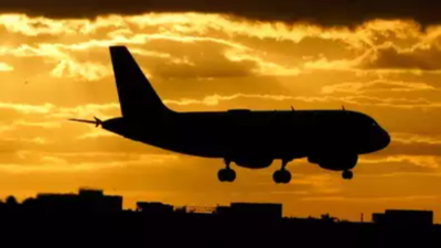 MP urges civil aviation ministry to do these three things for Tamil Nadu
