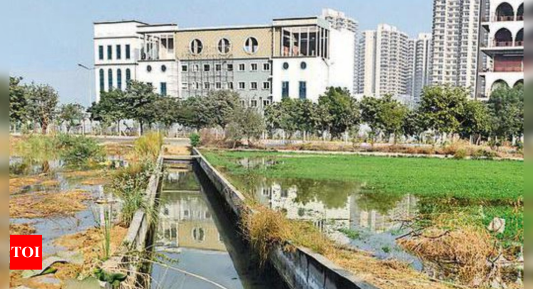 3 deaths in this open stormwater drain in a year | Noida News