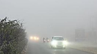 IMD predicts dense fog, cold day conditions in plains of Uttarakhand ...